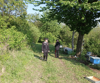 Cossombrato (AT), uccide la ex e il compagno a colpi di roncola poi si suicida