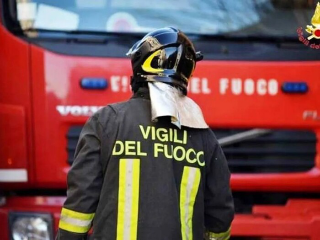 Capriolo incastrato in una recinzione, salvato dai VVF